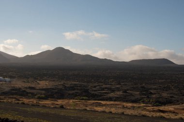 Güneşli bir günde Lanzarote 'deki La Geria üzüm bağlarının manzarası