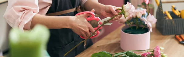 Stock image happy professional woman is working in flower shop