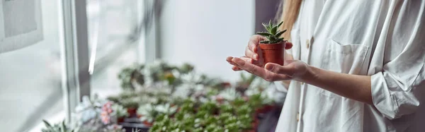 Blanke Vrouwelijke Bloemist Het Verzorgen Van Haar Planten — Stockfoto