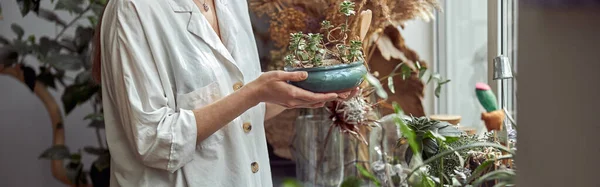 Caucasian Confident Happy Florist Working Composition Made Glass Stones Plants — Stock Photo, Image