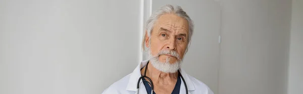 Πορτρέτο Του Γιατρού Στέκεται Στην Ιατρική Κλινική Αίθουσα Και Αναζητούν — Φωτογραφία Αρχείου
