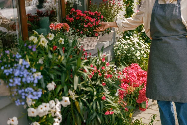 Wanita Penjual Bunga Mengurus Tanaman Toko Bunga Konsep Perawatan Tanaman — Stok Foto