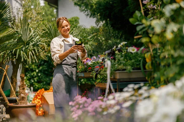 Female Florist Taking Care Houseplant Flower Shop Plant Care Concept — Stock Photo, Image