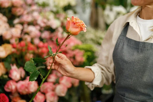 Close Woman Florist Flower Shop Owner Hold Rose Floral Background — Stock Photo, Image