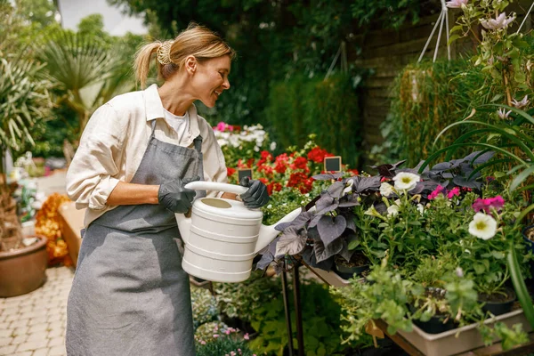Smiling Woman Florist Taking Care Plant Watering Floral Shop High — Stock Photo, Image
