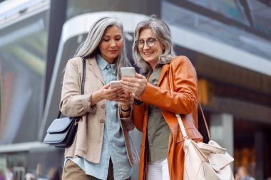 Olumlu gri saçlı olgun kadınlar güzel bir sonbahar gününde modern şehir caddesinde modern cep telefonlarına bakarlar. Eski dostlar buluşması