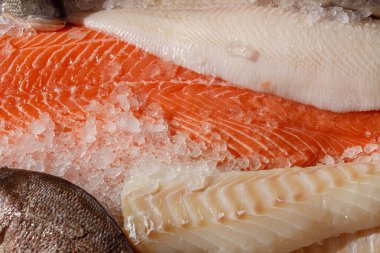 Buzda sergilenen canlı balık kesimleri, taze somon ve filetolar, deniz ürünleri aşıkları için mükemmel..