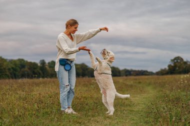 Neşeli bir kadın, manzaralı bir çayırda sevgili köpeğiyle eğlenirken ve eğlenirken görülüyor.