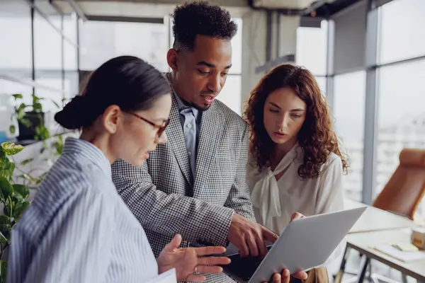 Yeşilliklerle dolu modern bir ofis ortamında, dinamik bir ekip bir dizüstü bilgisayarla verimli bir işbirliği içinde.