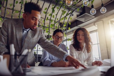 Bir ekip projenin detaylarını, modaya uygun, şık ve bitkisel bir ofis ortamında ayrıntılı bir şekilde tartışır.