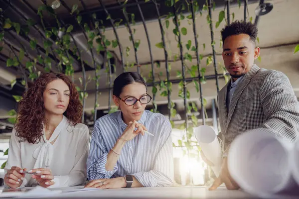 Üç yetenekli profesyonel, canlı bir ofis ortamında anlayışlı ve odaklanmış bir tartışmaya girişirler.