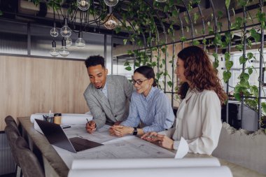 Çeşitli ve yaratıcı bir ekip, yenilikçi planlarını bitkilerle dolu şık bir ofiste enerjik bir şekilde tartışıyor.