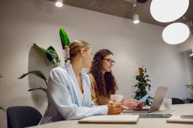 İki profesyonel kadın, bitkiler ve modern teknolojiyle çevrili şık bir ofis masasında iş birliği yapıyor.