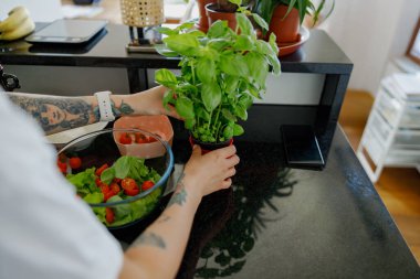 Taze fesleğen, çeşitli salata malzemeleri ve şık bir tezgahın sergilendiği davetkar ve canlı bir mutfak sahnesi.