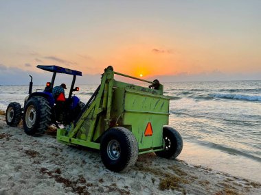 Playa del Carmen, Meksika... 6 Nisan 2023 Karayip kıyıları ağır iş makineleriyle yosunlarla savaşıyor..