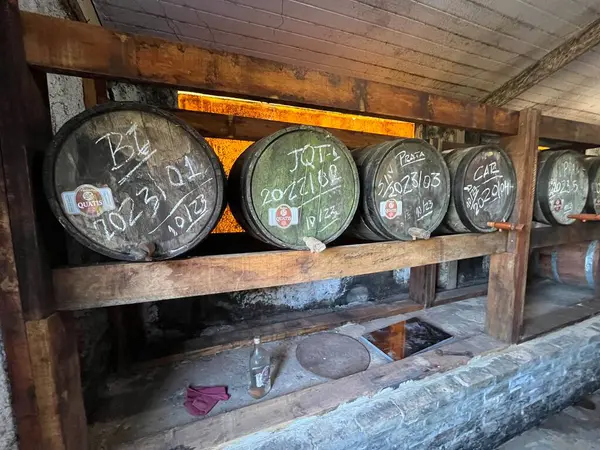 Cachaa 'yı saklamak için meşe fıçısı.