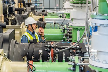 Asyalı fabrika teknisyeni. Endüstri işçisi. Kimyasal bitki uzmanı..
