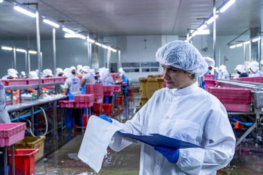 Yiyecek fabrikasında çalışan, koruyucu giysiler ve eldivenler giyen bir kadın.