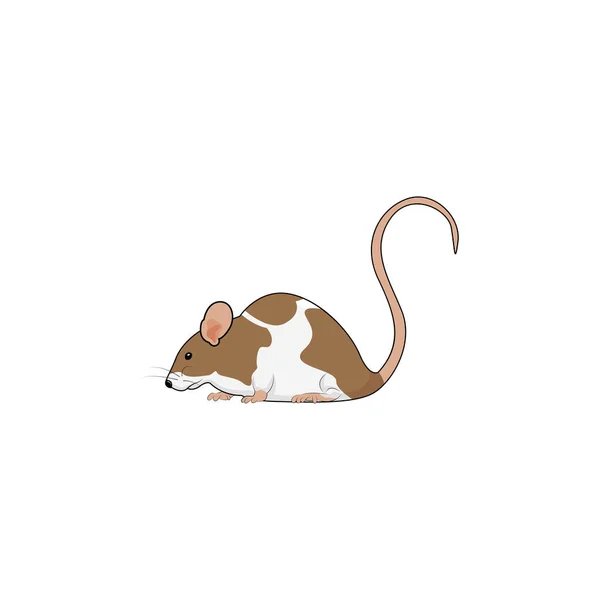 Realistická Vektorová Grafika Myši — Stockový vektor