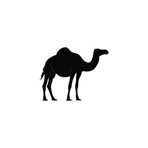 孤立骆驼图标或标识矢量图形 — 图库矢量图片