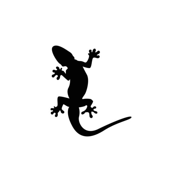 Isolated home wizard icon or logo vector graphics