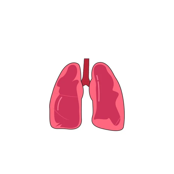 Isolated Lungs Vector Art Ang Graphics — Stock Vector