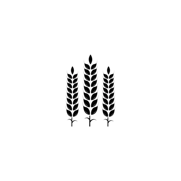 Wheat Icon Logo Vector Graphics — Stock Vector