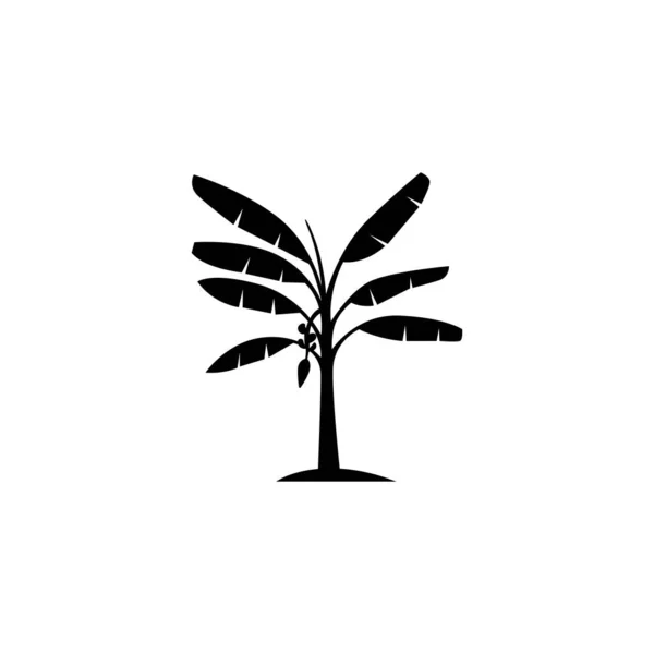 バナナヤシの木のアイコンのベクトルグラフィックス — ストックベクタ