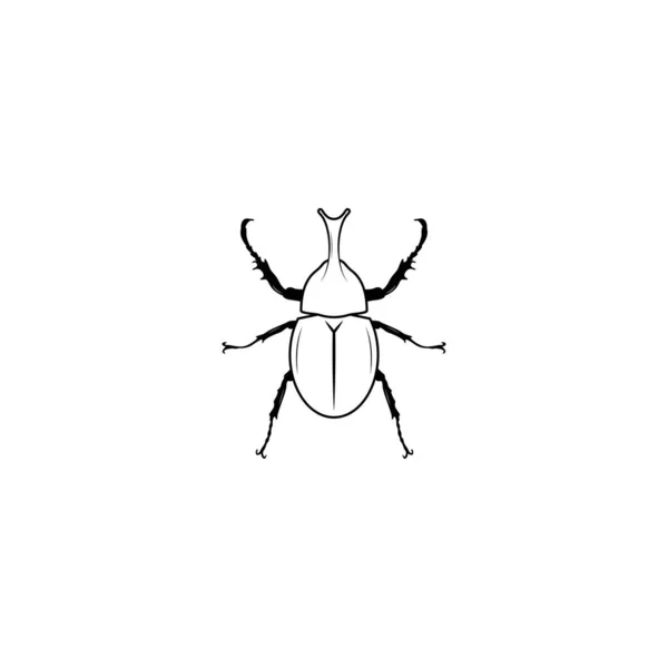 Rhinoceros Beetle Icon Isolated Vector Graphics — Stock Vector