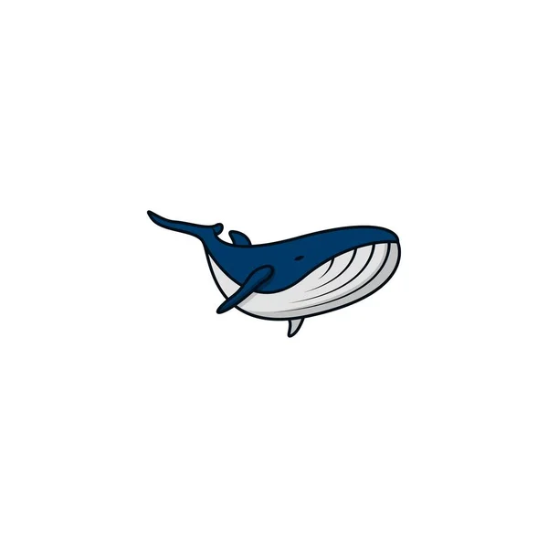 Humbak Wieloryb Izolowane Grafiki Wektorowe — Wektor stockowy
