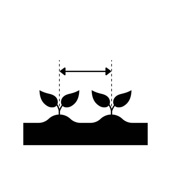 植物之间的距离 种子种植图标 黑色矢量符号 植物之间的距离 — 图库矢量图片