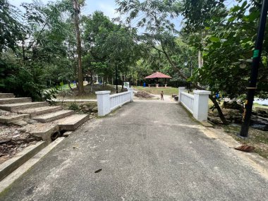 Bahçedeki yürüyüş yolu manzarası