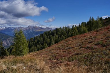   Yaz sonu - Eylül 2022 Dolomitlerin güzel dağ manzarası                             