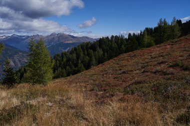 Sexten, Italy - September 19, 2022 - nature around Helmjet, upper station in late summer                               