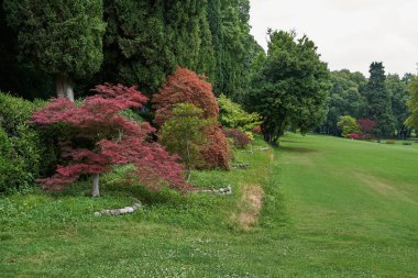 Valeggio Konsolosu Mincio, İtalya - 1 Temmuz 2023 - Çiçek Sınırları 'nın Parco Giardino Sigurta Bulvarı - Venedik Bölgesi - İtalya                                