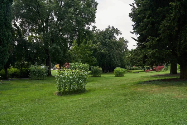 意大利Mincio领事Valeggio 2023年7月1日 Parco Giardino Sigurta Avenue Flower Borders Veneto Region — 图库照片
