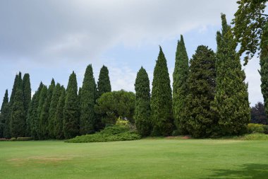 Valeggio sul Mincio, İtalya - 1 Temmuz 2023 - Parco Giardino Sigurta - Veneto bölgesi                                