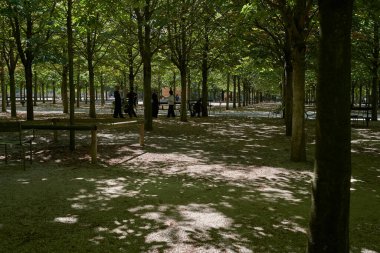 Paris, Fransa - 14 Temmuz 2023 - Jardin du Lüksemburg manzarası. Paris 'in en büyük ikinci parkı.                               