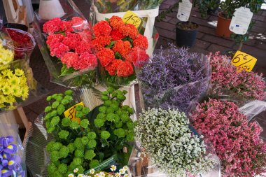 Güzel, Fransa - 12 Ağustos 2023 - Çiçekler sokakta satılıyor Cours Saleya pazarında                               