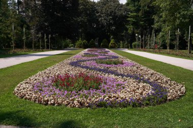 Hradec Kralove, Çek Cumhuriyeti - 22 Temmuz 2023 - Güneşli bir yaz gününde Jirasek Parkı                               