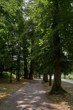 Hradec Kralove, Çek Cumhuriyeti - 22 Temmuz 2023 - Güneşli bir yaz gününde Jirasek Parkı                               