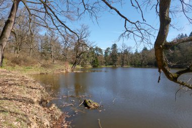 Pruhonice, Çek Cumhuriyeti - 29 Mart 2024 - Prag yakınlarındaki Pruhonice Park 'taki Labeska Gölü                                 