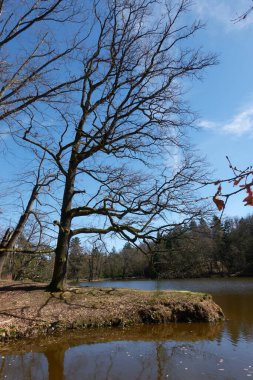 Pruhonice, Çek Cumhuriyeti - 29 Mart 2024 - Prag yakınlarındaki Pruhonice Park 'taki Labeska Gölü                                 