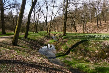 Pruhonice, Çek Cumhuriyeti - 29 Mart 2024 - Prag yakınlarındaki Pruhonice Şatosu 'ndaki Şato Parkı                               