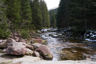 Spindleruv Mlyn, Çek Cumhuriyeti - 27 Nisan 2024 - Beyaz Elbe, Elbe Nehri 'nin bir sol koludur.                               