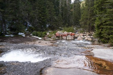 Spindleruv Mlyn, Çek Cumhuriyeti - 27 Nisan 2024 - Beyaz Elbe, Elbe Nehri 'nin bir sol koludur.                               