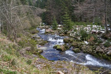 Spindleruv Mlyn, Çek Cumhuriyeti - 27 Nisan 2024 - Beyaz Elbe, Elbe Nehri 'nin bir sol koludur.                               