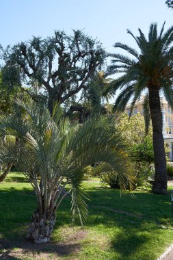 Beaulieu sur Mer, Fransa - 10 Mayıs 2024 Kirke Restoranı Beaulieu-sur-Mer ve çevresi güneşli bir bahar gününde                               