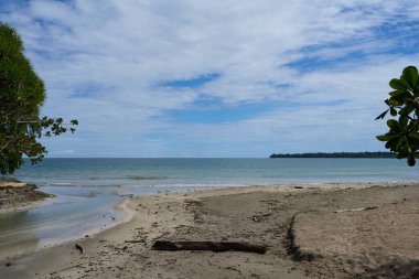   Cahuita, Kosta Rika - 16 Kasım 2024 - Cahuita Ulusal Parkı - plaj, orman ve renkli deniz yaşamı                             