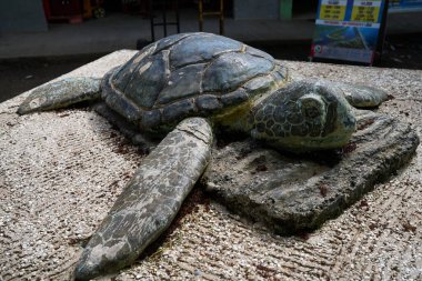 Tortuguero, Kosta Rika - 18 Kasım 2024 Kasabanın alışveriş ve ana caddesi                               